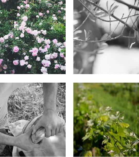 photos-contact